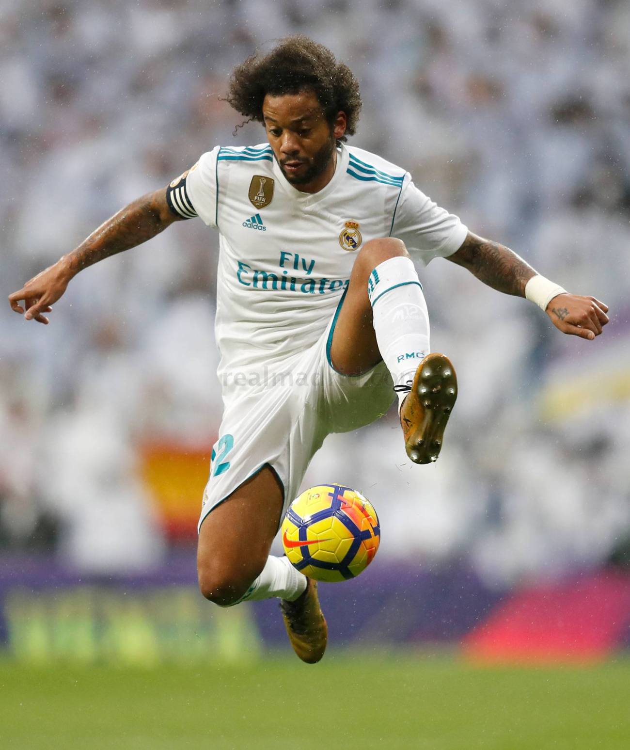 Marcelo
