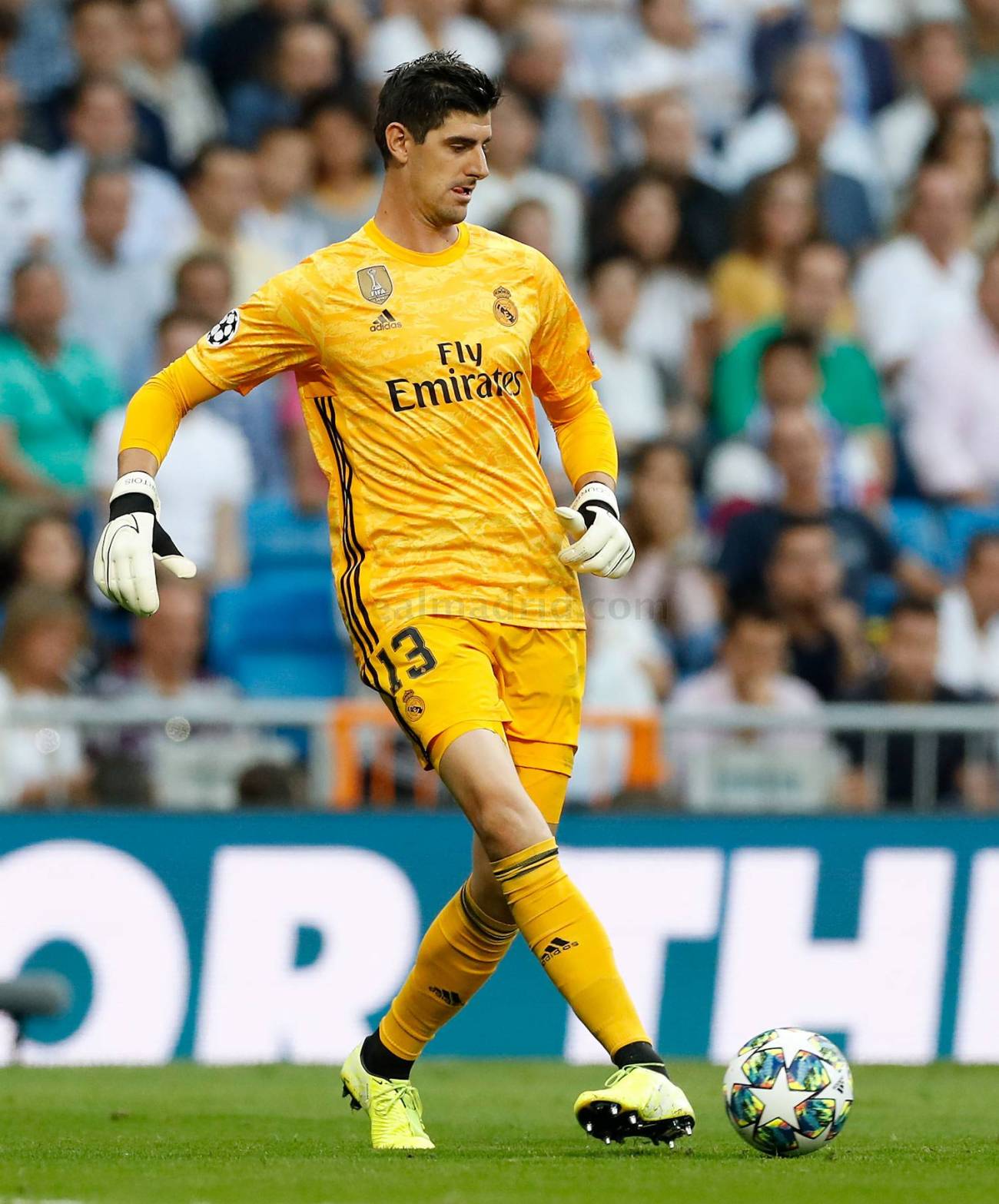 Courtois.jpg