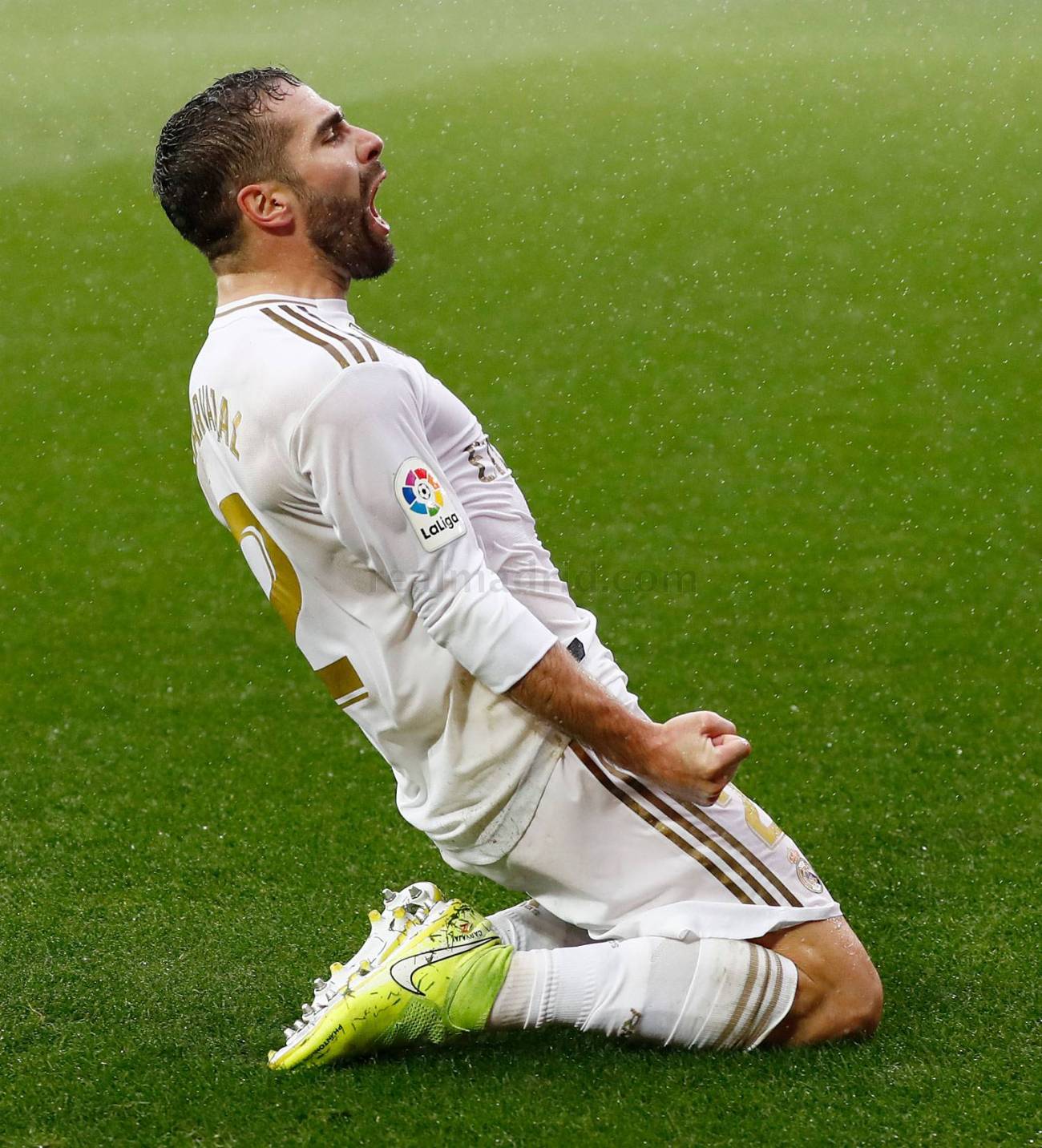 Carvajal