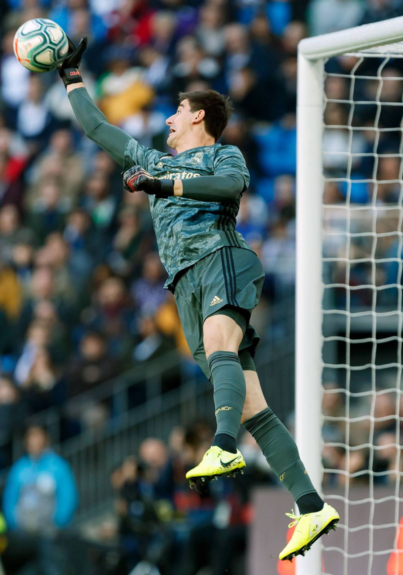 Courtois